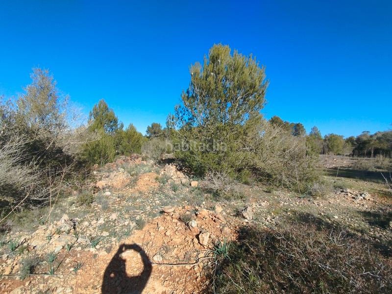 Foto cf3a272c-032a-455e-b2d8-8a1f749902e2. Terreny residencial a Algaida