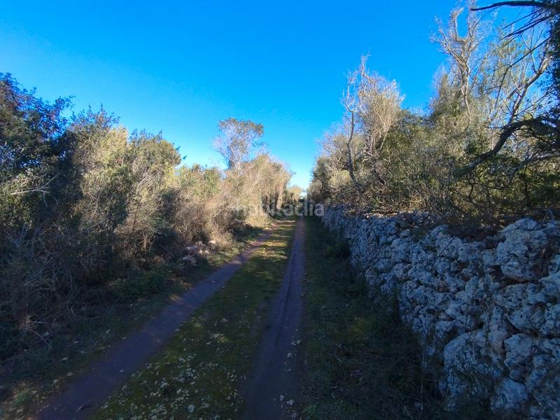Foto e4d6f486-2e94-4cd2-b99d-b416c2391915. Terreny residencial a Algaida