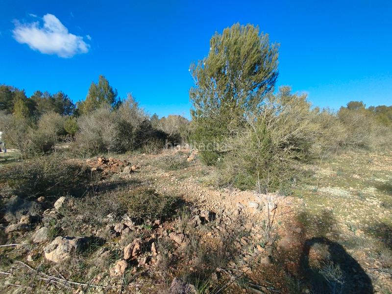Foto ffb6d233-88fc-47d6-aad9-0ad02d214760. Terreny residencial a Algaida