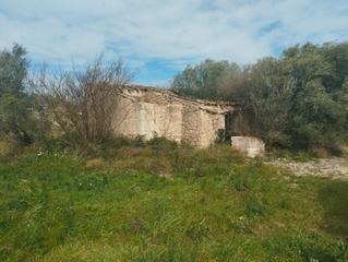 Residential Plot in Sineu. Finca edificable