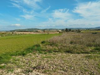 Finca rústica a Algaida. Finca de cultivo
