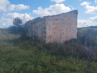 Terreny residencial a Algaida. Se venden tres fincas edificables juntas.