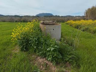 Rural plot in Montuïri. Finca con pozo de agua