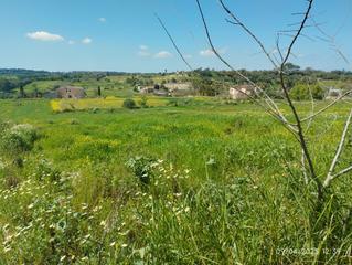 Rural plot in Lloret de Vista Alegre. Finca pegada al pueblo
