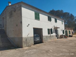 Maison à Sencelles. Casa tradicional en una finca de 45.000mts