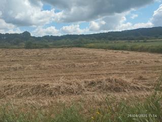 Finca rústica a Algaida. Finca cerca del pueblo
