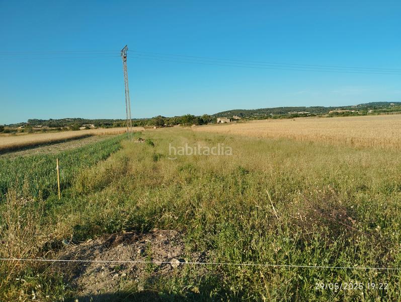 Foto 2242d480-5d87-4d71-8216-6c346d4cdbc2. Fondo rustico in Montuïri