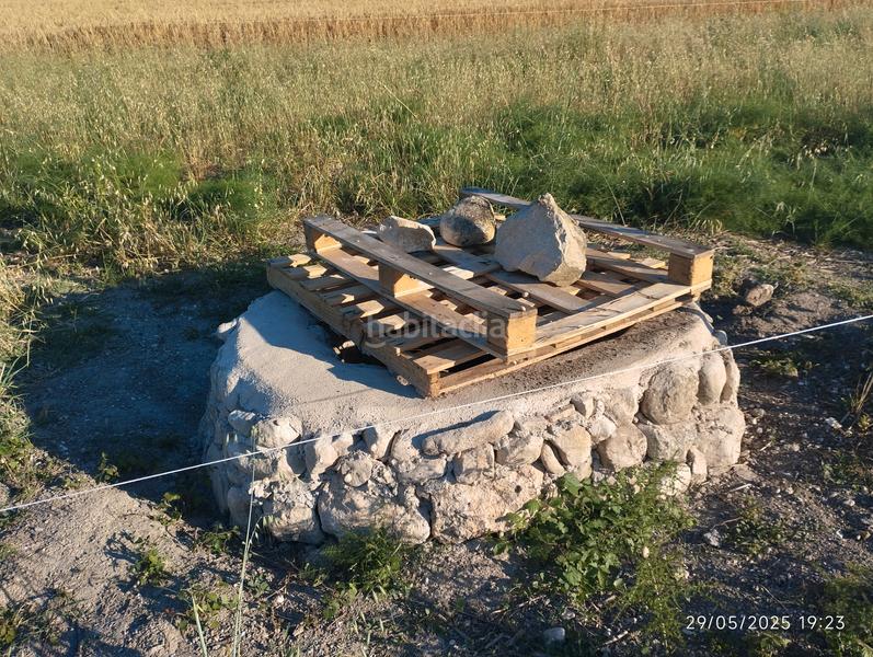 Foto 8caf5484-282e-4804-9d17-453264f1d6bf. Fondo rustico in Montuïri