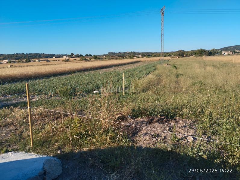 Foto 9adbcd3e-1aa4-434d-b1b0-9fe994dd3dc5. Fondo rustico in Montuïri