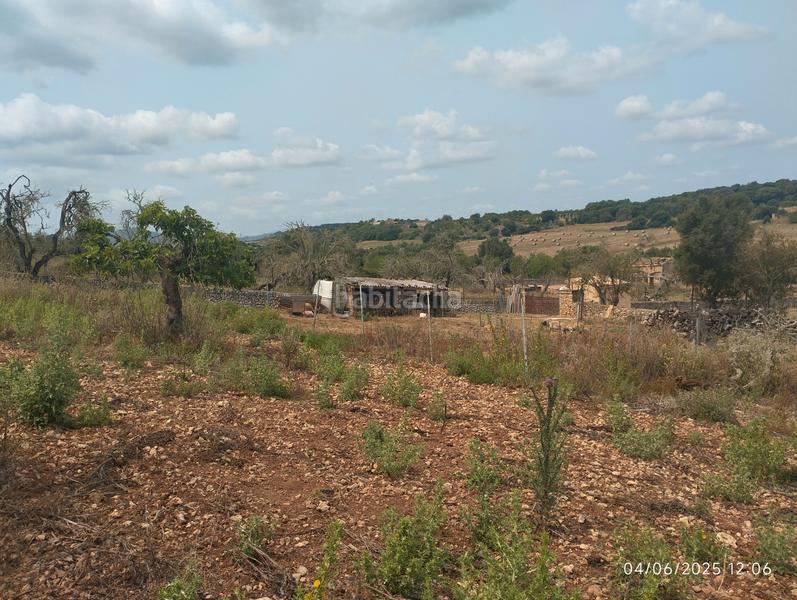 Foto 5d949c04-de84-47d0-946b-cd82d6aadd3f. Fondo rustico in Ariany