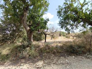 Landgut in Sant Joan. Finca con vistas