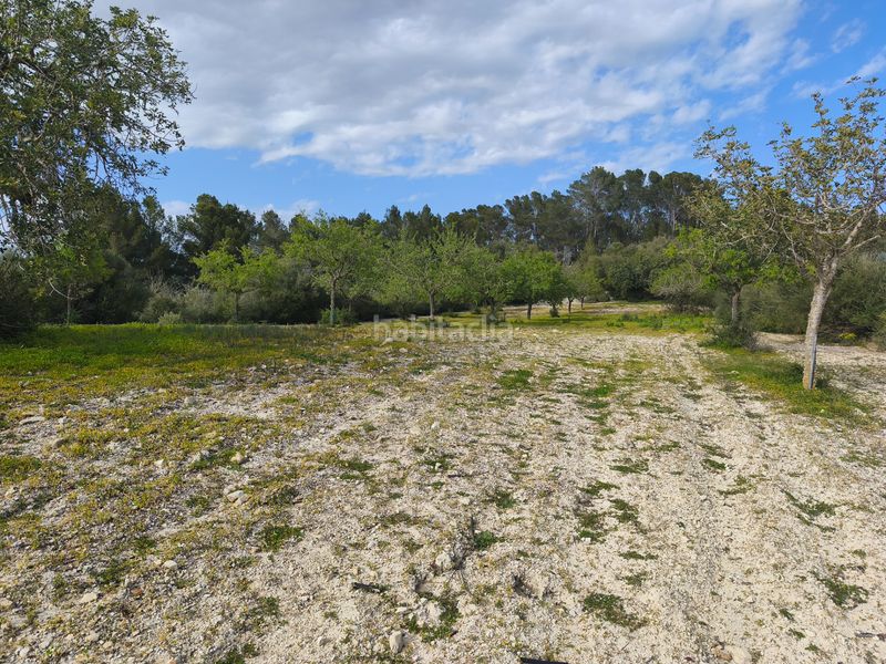 Foto b126c3fd-4f2c-44d9-b1c8-f59db428fa2f. Finca rústica a Sant Joan