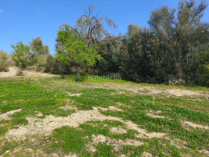 Foto dfb5ea52-ebc3-46e4-93d7-b37adfb000e1. Finca rústica a Sant Joan