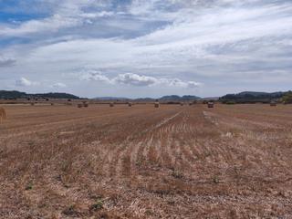 Fondo rustico in Diseminado varis 217. Terreno de cultivo