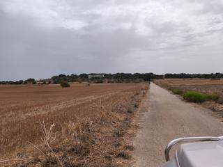 Landgut in N/a. Finca de cultivo con acceso asfaltado y privacidad.