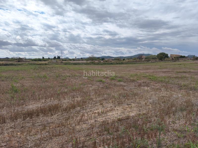 Foto 0ce0be4b-79d9-45e4-93f6-0c60bc8d16a4. Fondo rustico in Montuïri