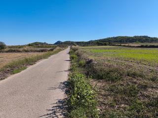 Finca rústica a Sant Joan. Finca de cultivo con acceso asfaltado