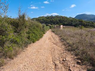 Finca rústica en Algaida. Finca de garriga