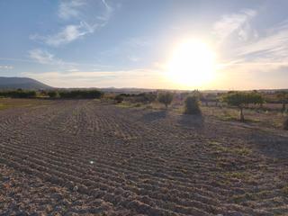 Rural plot in Montuïri. Finca con privacidad