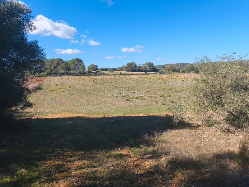 Foto 1217c996-1a2e-424b-9c0b-cd7940d5bb94. Landgut in Algaida