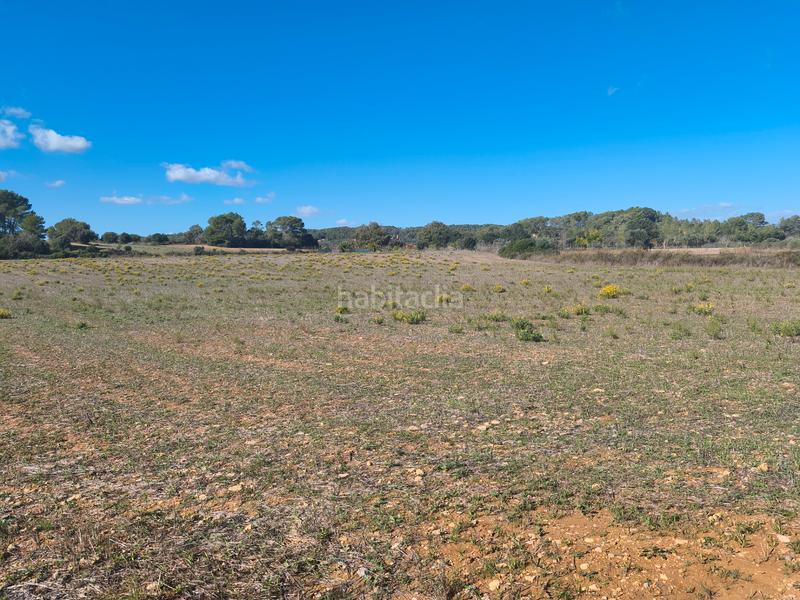 Foto 2470d3ba-d2f6-4212-aa98-8125936660d4. Landgut in Algaida