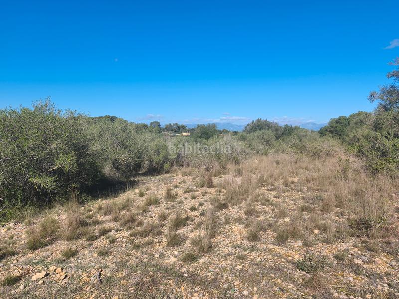 Foto 4d2e35af-6e5e-42aa-9085-c7f5ad45a4d0. Landgut in Algaida