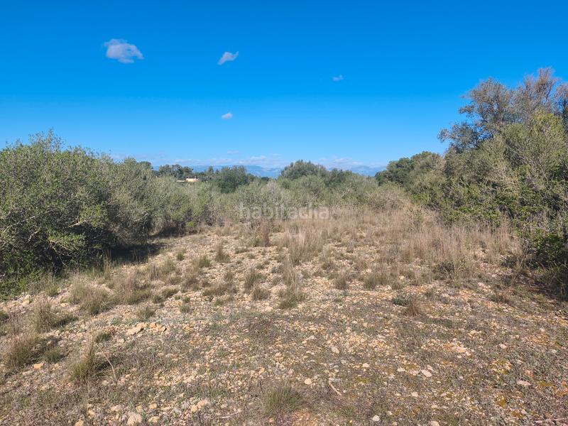 Foto 6a4ed718-3d1f-4979-8fe6-e20617f4b445. Landgut in Algaida