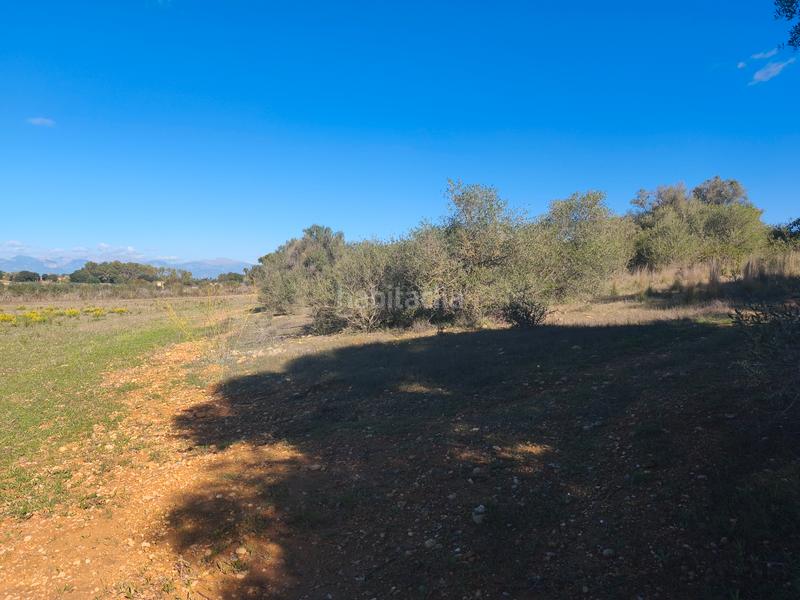 Foto 8ef66586-1e60-4189-8031-076b4b7b94b9. Landgut in Algaida