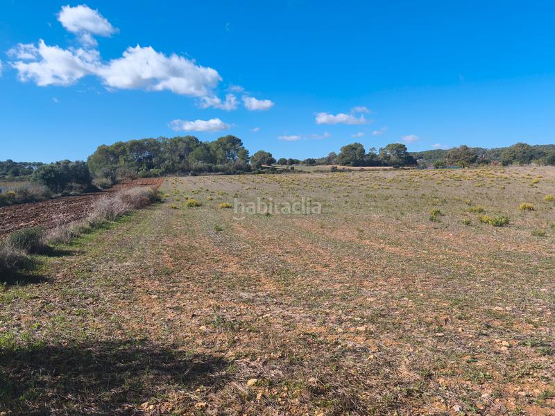 Foto cc4eda54-4bdd-4722-a253-aee1594a42b0. Landgut in Algaida