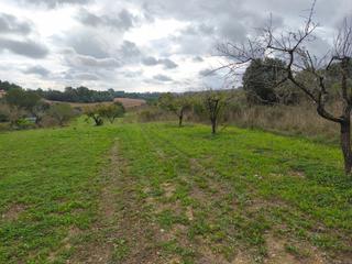 Landgut in Algaida. Finca con frutales