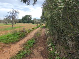 Finca rústica a Porreres. Finca entre porreres y campos