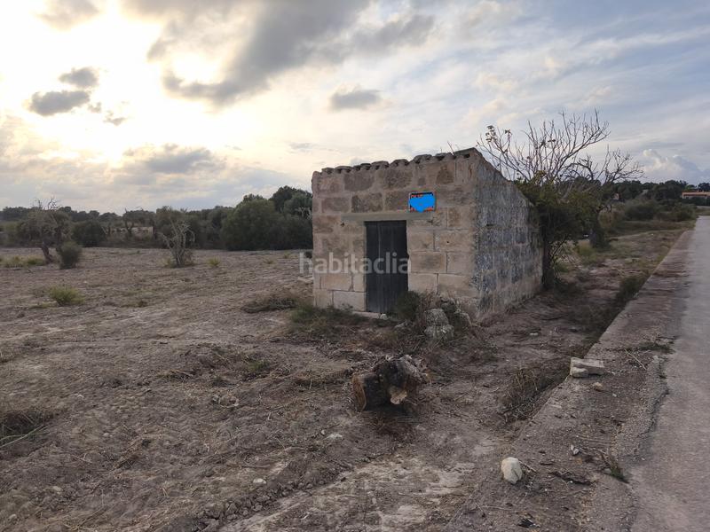 Foto 2389f35a-bb3b-4423-b50f-d13e80fbe6fc. Propriété dans Santa Margalida poble Santa Margalida