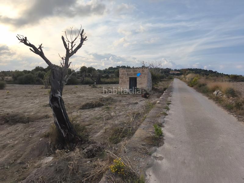 Foto 3202699f-7bac-4e94-864c-26a91eaaca78. Propriété dans Santa Margalida poble Santa Margalida