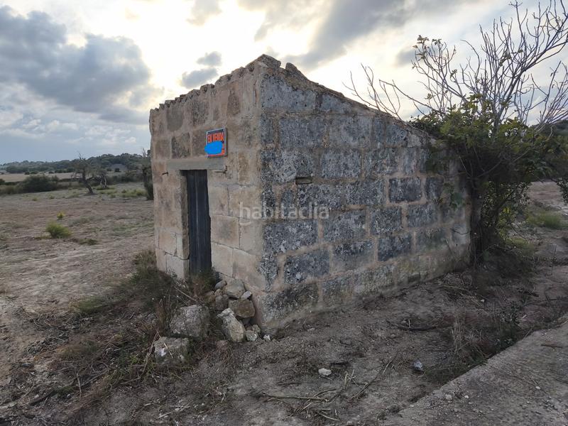 Foto 62b914b2-a27b-4fb3-b8f5-546e53756521. Propriété dans Santa Margalida poble Santa Margalida