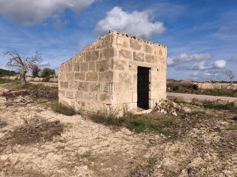 Foto 637d39b1-63d5-4523-aecc-86f9e3d90f86. Propriété dans Santa Margalida poble Santa Margalida