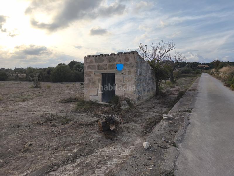 Foto 84c97732-5ed6-4114-b8c0-a347d0b73980. Propriété dans Santa Margalida poble Santa Margalida