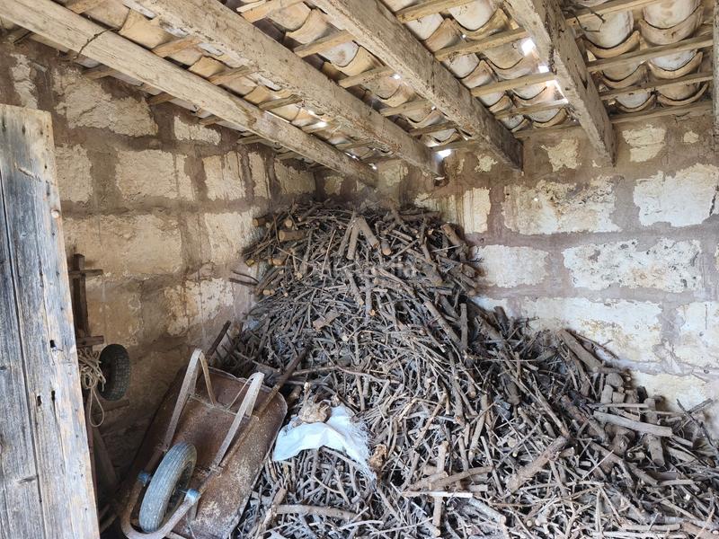 Foto a82c5788-9c0c-4275-b494-8d6c08117ee9. Propriété dans Santa Margalida poble Santa Margalida