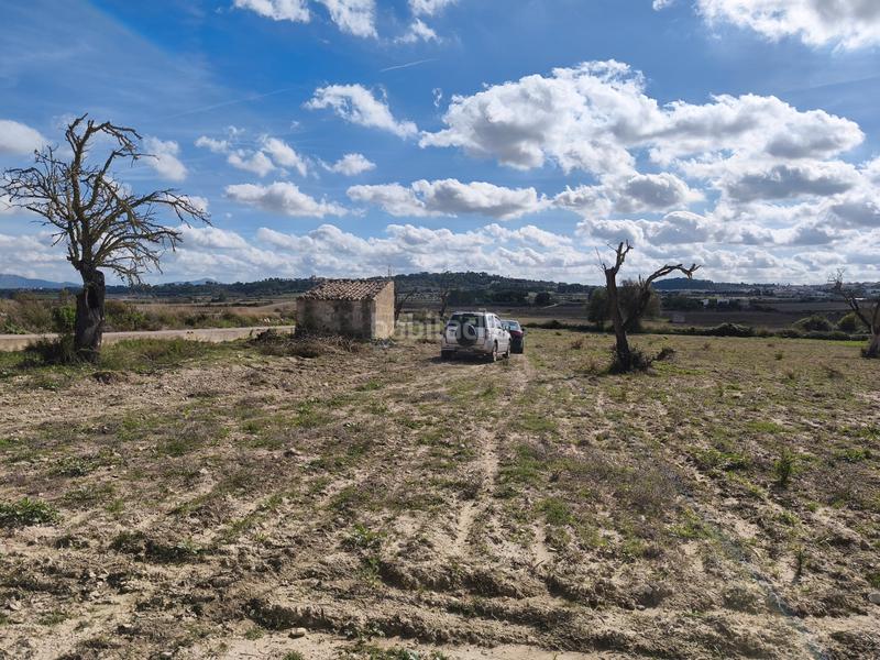 Foto ad6278a2-c546-4dce-acee-73a1e78aa996. Propriété dans Santa Margalida poble Santa Margalida
