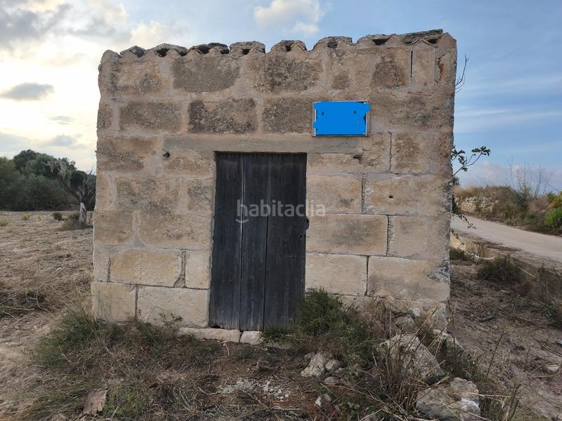 Foto b689f50a-aa37-4e0e-adc0-5a5fca12639d. Propriété dans Santa Margalida poble Santa Margalida