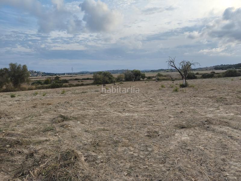 Foto cec1ac1f-dedc-44fe-a31c-bb7b0f5bc5e9. Propriété dans Santa Margalida poble Santa Margalida