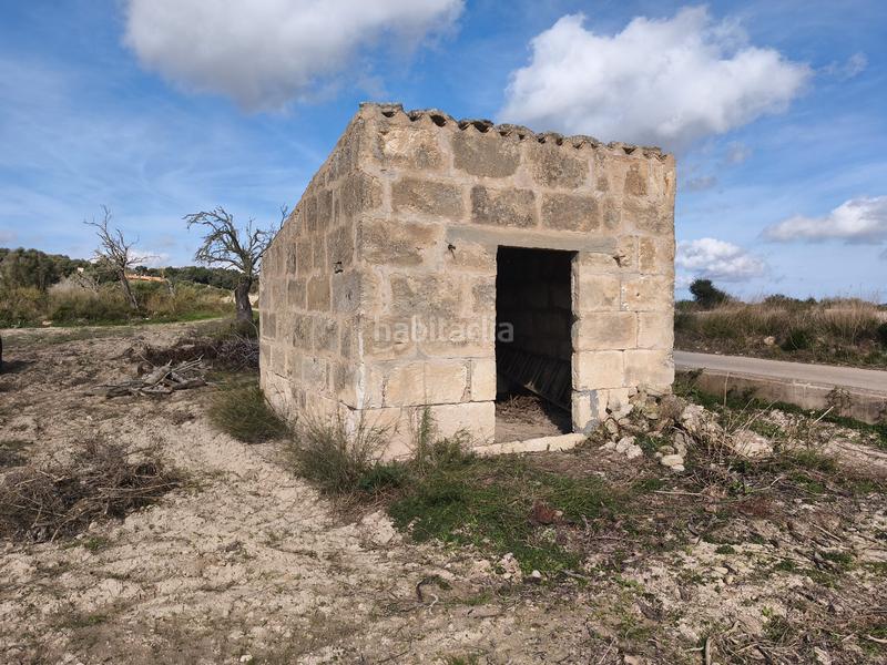 Foto d243d463-828d-4643-bdde-fdc3c31ffae0. Propriété dans Santa Margalida poble Santa Margalida