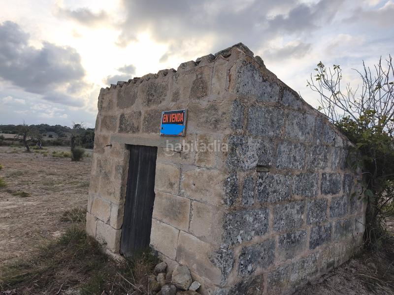 Foto d2931afd-867a-4dd0-8dc8-e0c075b48fb8. Propriété dans Santa Margalida poble Santa Margalida