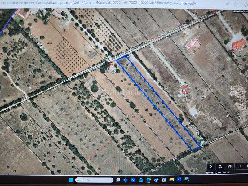 Foto e5de0231-b3a8-467f-ac34-f7ff0811ddf1. Fondo rustico in Algaida