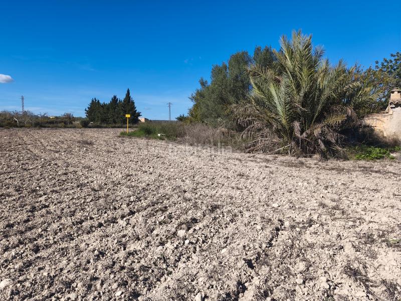 Foto 2704e006-8416-4fef-8a60-27701c182106. Wohngrundstück in Montuïri