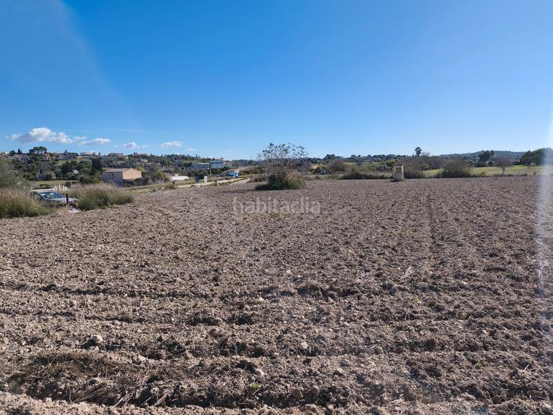 Foto 3ca9a720-96a0-4b88-9752-4789564ac05c. Wohngrundstück in Montuïri