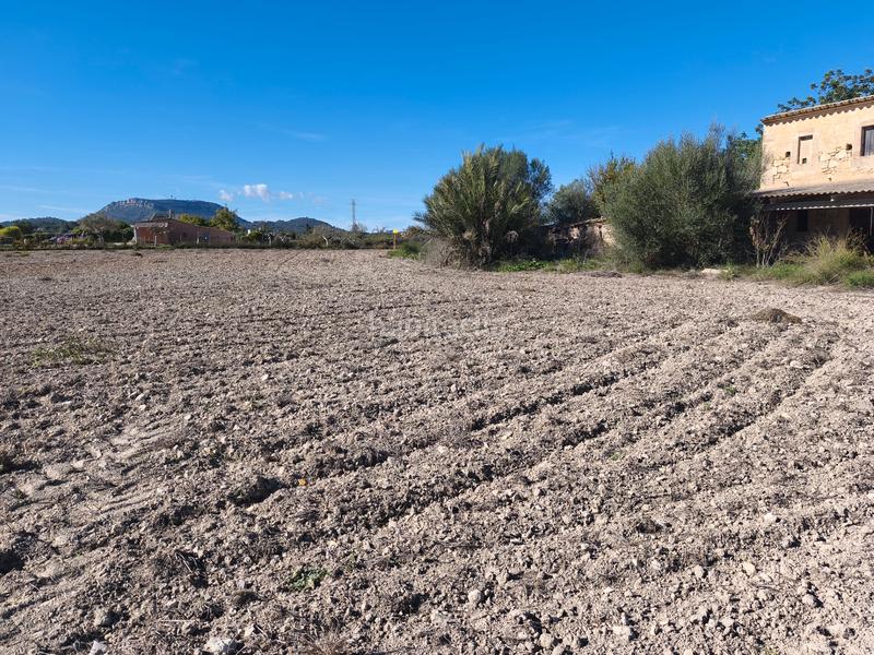 Foto 4e0e6a40-72ab-4a10-8ee2-668a6cb0633f. Wohngrundstück in Montuïri