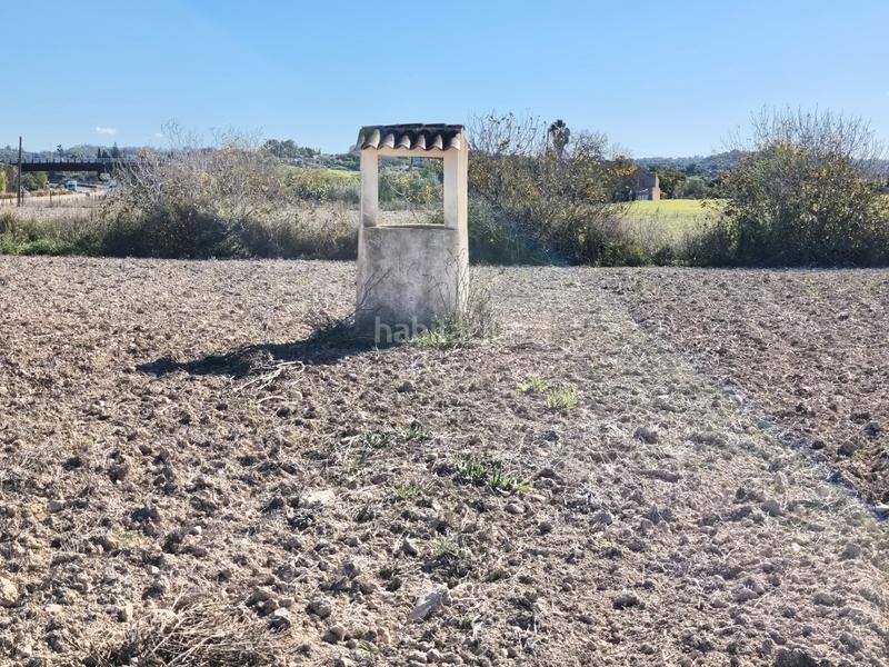 Foto 5f80a626-1539-40d9-9f7a-52d34b227c32. Wohngrundstück in Montuïri