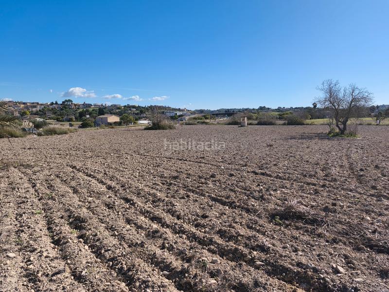 Foto ca3bbdb6-4822-4dbd-b2b7-d2ef13834e76. Wohngrundstück in Montuïri