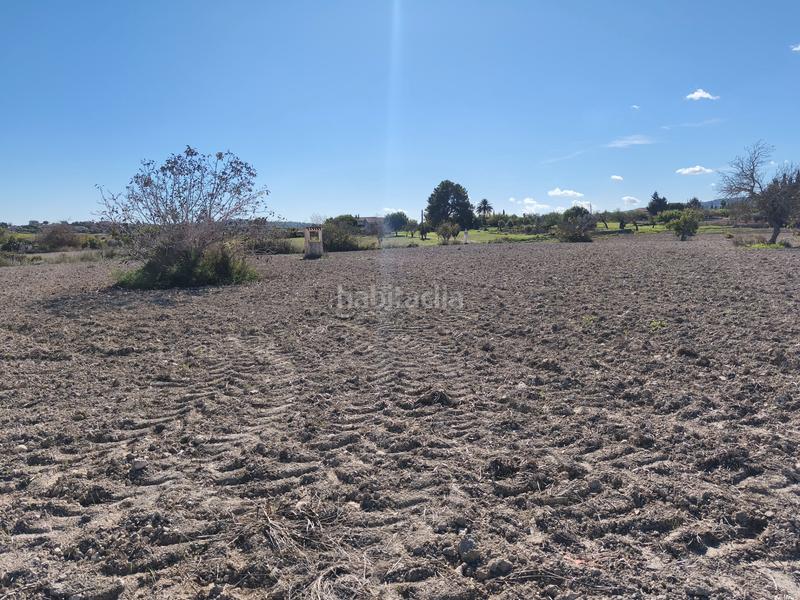 Foto e06c4cd7-2f87-49c3-a32d-502e9e95e4d1. Wohngrundstück in Montuïri