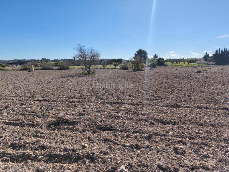 Foto ed684484-860f-4ef7-9289-bb9b828f77d4. Wohngrundstück in Montuïri